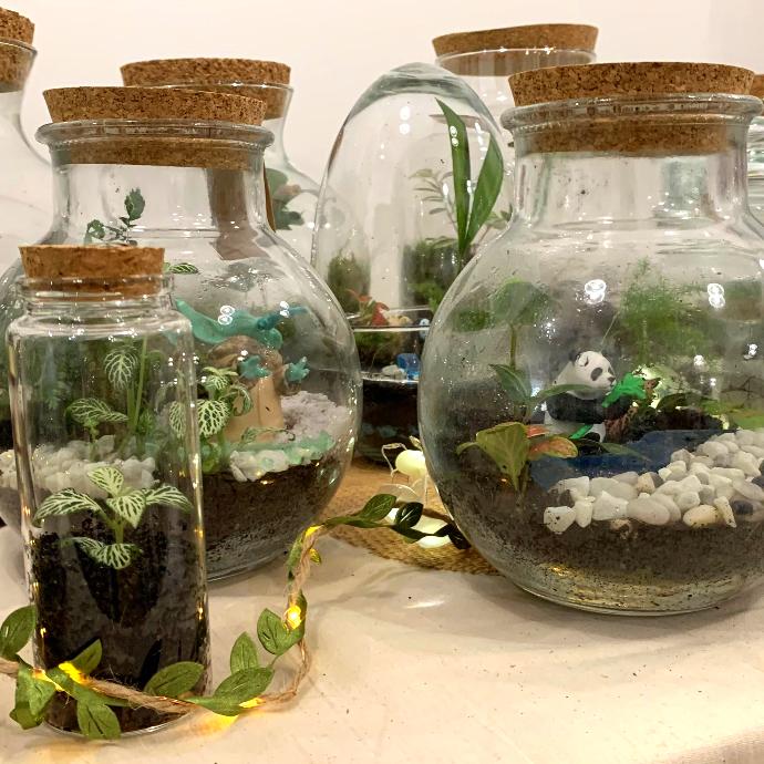 Plusieurs terrariums de taille et de forme différentes