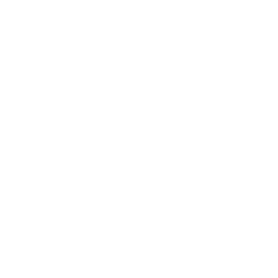 Icône Coq Français